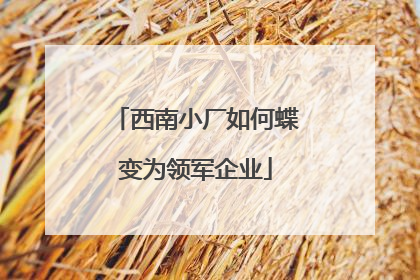 西南小厂如何蝶变为领军企业