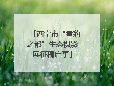 西宁市“雪豹之都”生态摄影展征稿启事