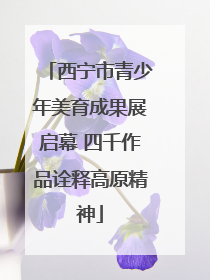 西宁市青少年美育成果展启幕 四千作品诠释高原精神