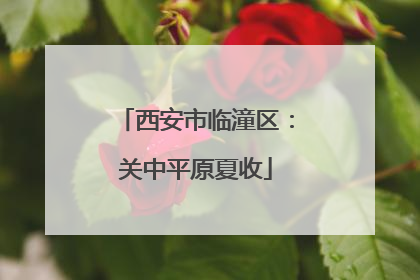 西安市临潼区：关中平原夏收
