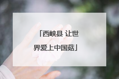 西峡县 让世界爱上中国菇
