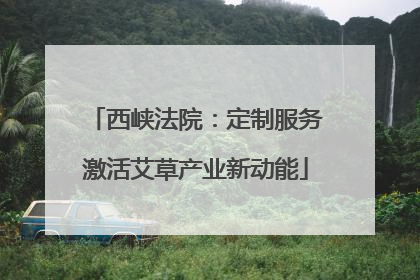 西峡法院：定制服务激活艾草产业新动能