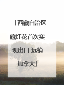 西藏自治区藏红花首次实现出口 远销加拿大