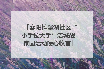 襄阳檀溪湖社区“小手拉大手”洁城靓家园活动暖心收官