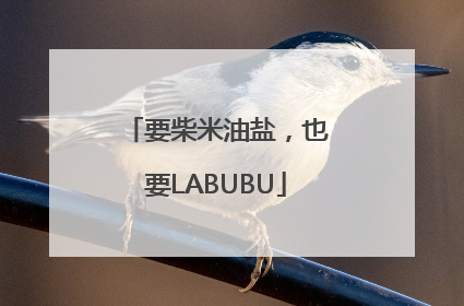 要柴米油盐，也要LABUBU