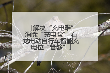 解决“充电难” 消除“充电险” 石龙电动自行车智能充电位“管够”