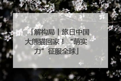 解构局丨旅日中国大熊猫回家！“萌实力”征服全球