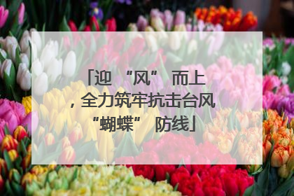 迎 “风” 而上，全力筑牢抗击台风 “蝴蝶” 防线