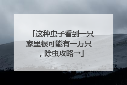 这种虫子看到一只家里很可能有一万只，除虫攻略→
