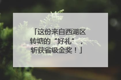 这份来自西湖区转塘的“好礼”，斩获省级金奖！