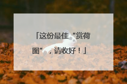 这份最佳“赏荷图”，请收好！