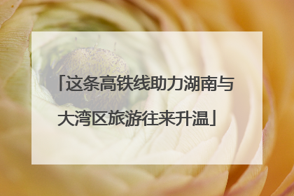 这条高铁线助力湖南与大湾区旅游往来升温