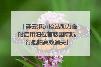 连云港边检站助力临时启用泊位首艘国际航行船舶高效通关