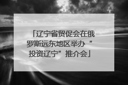 辽宁省贸促会在俄罗斯远东地区举办“投资辽宁”推介会