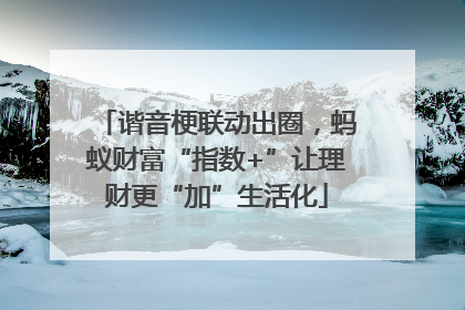 谐音梗联动出圈，蚂蚁财富“指数+”让理财更“加”生活化