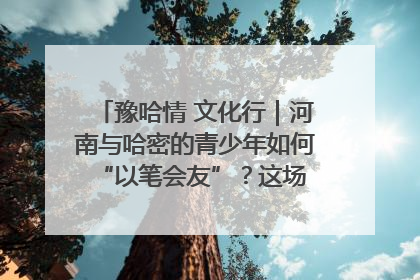 豫哈情 文化行｜河南与哈密的青少年如何 “以笔会友”？这场书画展藏着答案