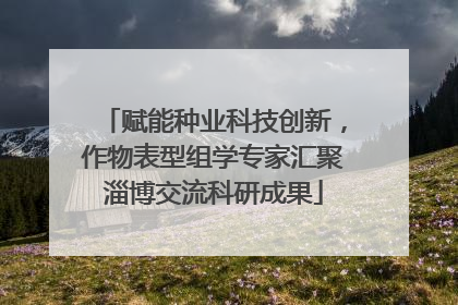 赋能种业科技创新，作物表型组学专家汇聚淄博交流科研成果
