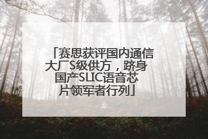 赛思获评国内通信大厂S级供方，跻身国产SLIC语音芯片领军者行列