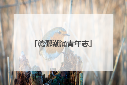 赣鄱潮涌青年志