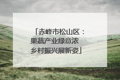 赤峰市松山区：果蔬产业绿意浓 乡村振兴展新姿