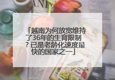 越南为何放宽维持了36年的生育限制？已是老龄化速度最快的国家之一