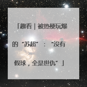 趣看｜被热梗玩爆的“苏超”：“没有假球，全是世仇”
