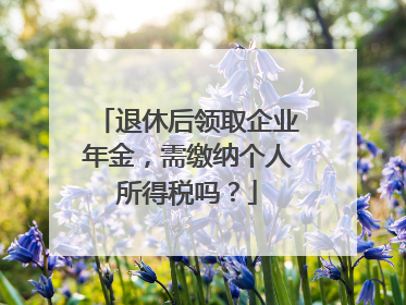 退休后领取企业年金，需缴纳个人所得税吗？