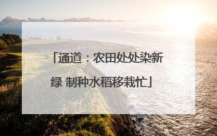 通道：农田处处染新绿 制种水稻移栽忙