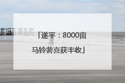遂平：8000亩马铃薯喜获丰收