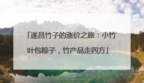 遂昌竹子的涨价之旅：小竹叶包粽子，竹产品走四方