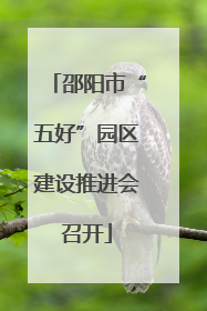 邵阳市“五好”园区建设推进会召开