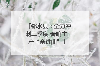 邻水县：全力冲刺二季度 奏响生产“奋进曲”