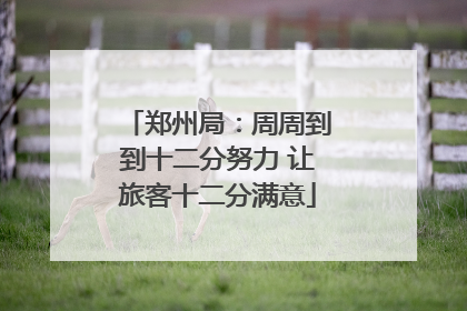 郑州局：周周到到十二分努力 让旅客十二分满意