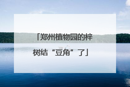 郑州植物园的梓树结“豆角”了