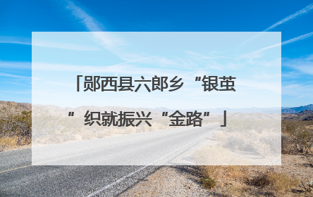郧西县六郎乡“银茧”织就振兴“金路”
