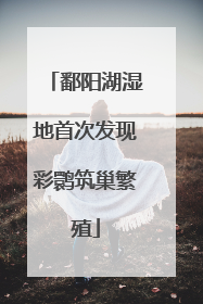 鄱阳湖湿地首次发现彩鹮筑巢繁殖