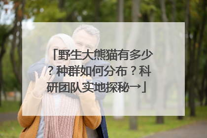 野生大熊猫有多少？种群如何分布？科研团队实地探秘→