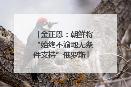 金正恩：朝鲜将“始终不渝地无条件支持”俄罗斯