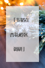 韦韬在杏花岭区调研