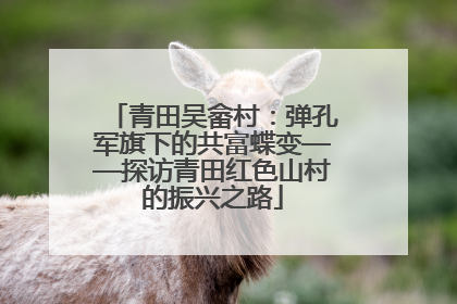 青田吴畲村：弹孔军旗下的共富蝶变——探访青田红色山村的振兴之路