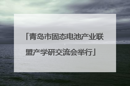 青岛市固态电池产业联盟产学研交流会举行