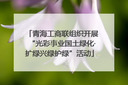 青海工商联组织开展“光彩事业国土绿化·扩绿兴绿护绿”活动