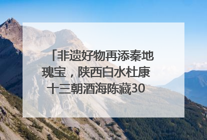 非遗好物再添秦地瑰宝，陕西白水杜康十三朝酒海陈藏30年别具一格