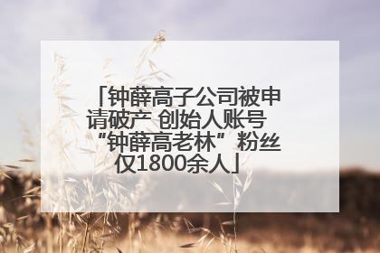 钟薛高子公司被申请破产 创始人账号“钟薛高老林”粉丝仅1800余人