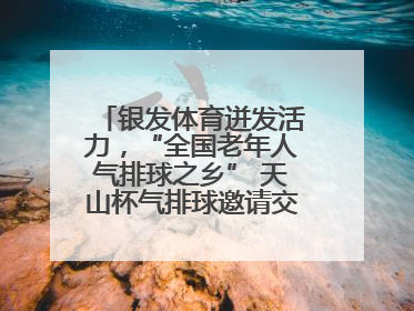 银发体育迸发活力，“全国老年人气排球之乡” 天山杯气排球邀请交流赛举行