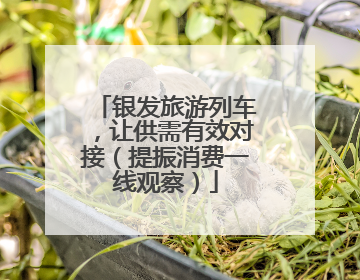 银发旅游列车，让供需有效对接（提振消费一线观察）