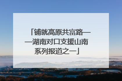 铺就高原共富路——湖南对口支援山南系列报道之一