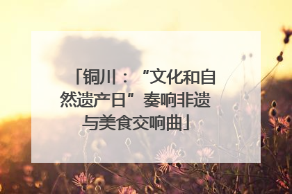 铜川：“文化和自然遗产日”奏响非遗与美食交响曲