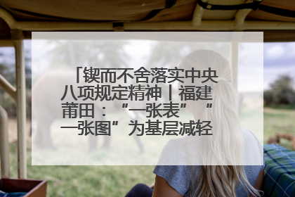 锲而不舍落实中央八项规定精神丨福建莆田：“一张表”“一张图”为基层减轻“数字负担”