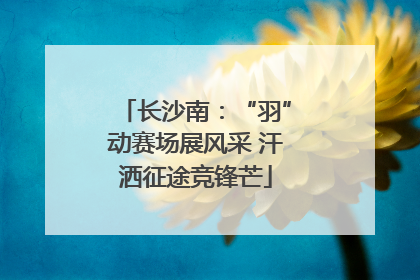 长沙南：“羽”动赛场展风采 汗洒征途竞锋芒